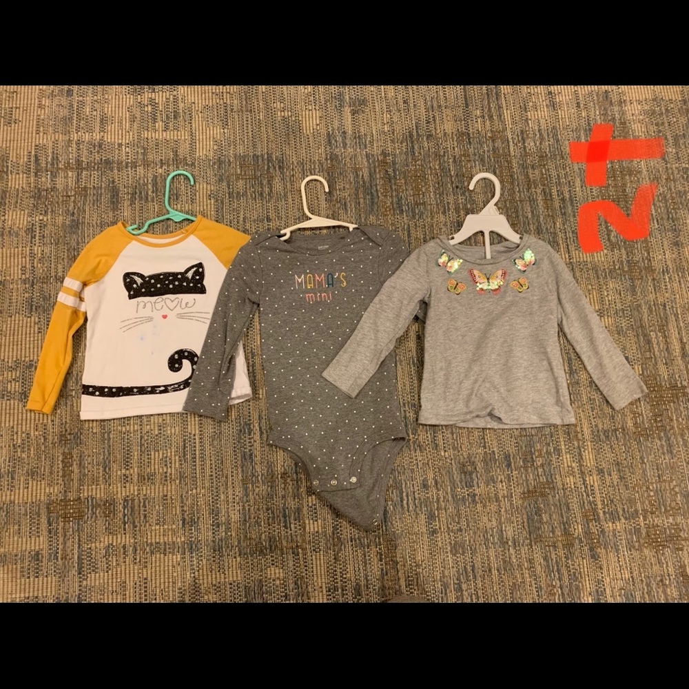 Toddler girl shirts.